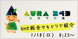 NHK「サキどり」放映