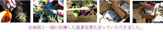 Ăȓ~̑蕨