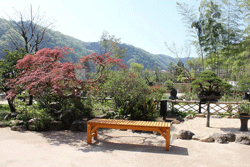 高尾駒木野庭園